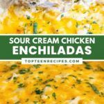 the cover of sour cream chicken enchiladas is shown in green and white