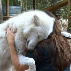 a woman hugging a white wolf in her arms