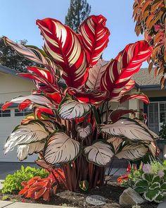 a large red and white plant in front of a house