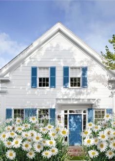 a white house with blue shutters and daisies in front