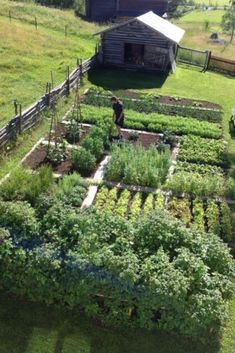 an aerial view of a vegetable garden in the country