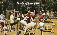 an old photo of people and animals at a zoo with the words woodland deer park on it