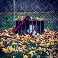 a bunch of leaves on the ground around a box with a clown mask in it