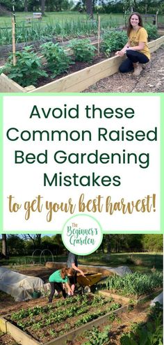 Many beginning gardeners plan to grow their vegetables in raised bedsand for good reasonThose of us who have been raised bed gardening for years testify to how much we enjoy itFrom my own experience and from hearing the experiences of othersI’ve compiled these seven mistakes raised bed gardeners commonly makegarden raisedbed mistakes tips beginner Zuppa Toscana Soup Olive Garden, Plantarea Legumelor, Raised Bed Gardening, Gardening Backyard, Vegetable Garden Raised Beds, Diy Raised Garden