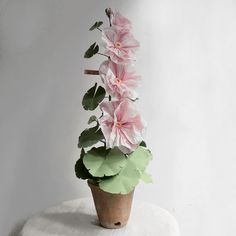 a potted plant with pink flowers sitting on top of a white table next to a wall