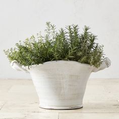 a potted plant sitting on top of a white table next to a wall and floor