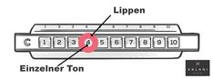 an image of a computer keyboard with the name and numbers highlighted in red on it