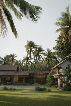 the house is surrounded by palm trees and lush green grass