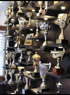 many trophies are lined up on shelves in a room