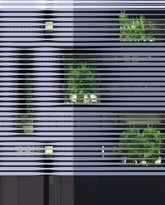 some plants are growing out of the side of a building that has vertical blinds on it