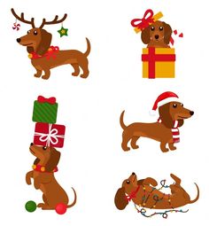 four different types of dogs with presents on their back and one dog wearing a santa hat