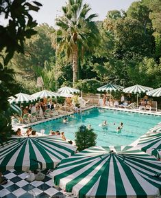 an outdoor swimming pool with umbrellas and people lounging in the shade under palm trees