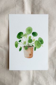 a watercolor painting of a potted plant with green leaves on it's side