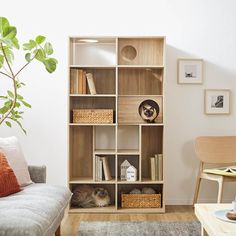 a cat sitting on top of a bookshelf in a living room