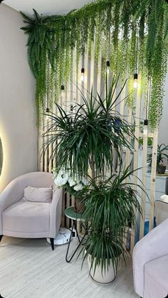 a living room filled with furniture and lots of greenery