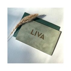 an image of a book with the word livva written on it and a feather resting on top