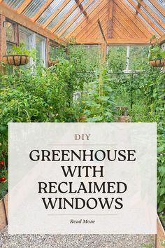 greenhouse with the words diy greenhouse with reclaimed windows