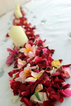 flowers are lined up along the edge of a white tablecloth with candles on it