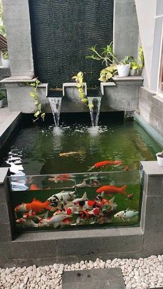 latest small pond decoration ideas House Fish Pond, Koi Fish Pond Inside House, Koi Fish Tank Indoor, Modern Fish Pond, Small Pond Landscaping, Fishpond Ideas, Fish Pond Ideas, Koi Aquarium, Pond Design Ideas