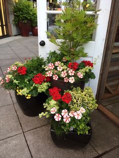 several potted plants on the ground in front of a door with flowers growing out of them