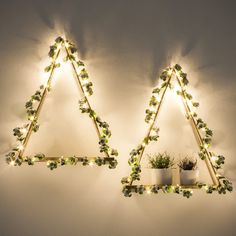 two triangle shaped shelves with plants and lights on the wall next to eachother