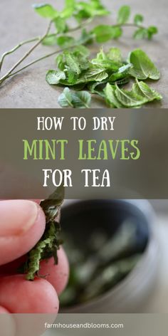 how to dry mint leaves for tea is easy and fun, so you can use it in many ways