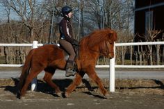 a woman riding on the back of a brown horse