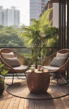 two wicker chairs sitting on top of a wooden floor next to a potted plant