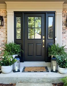 two potted plants sit on the front steps of a house, next to a black door