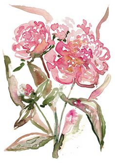 watercolor painting of pink flowers on white background