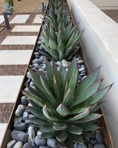 a planter filled with lots of rocks next to a white wall and some plants