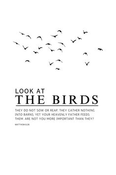 the words look at the birds are written in black and white on a white background