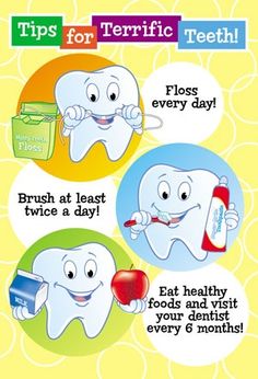 Tips for the terrific #teeth!!! Garden Theme Classroom, Dental Quotes, Dental Posts, Dental Tips, Dental Jokes, Dental Fun, Dental Facts, Dental Marketing, Dental Kids