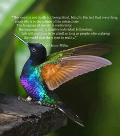 a colorful hummingbird sitting on top of a tree branch in front of green leaves