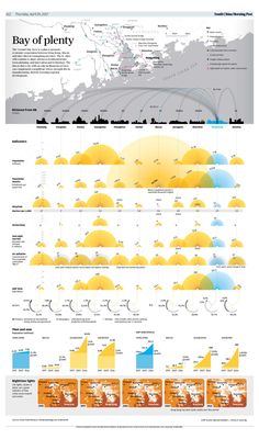 the world's largest cities are shown in this infographal poster, which shows how