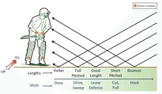 a diagram showing the different parts of a cricket player's body and shoulder position