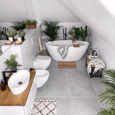 a white bathroom with plants in the bathtub and on the toilet, as well as potted plants