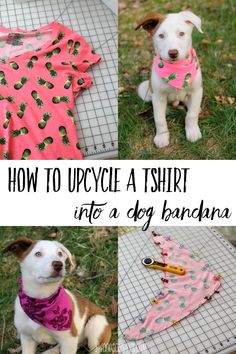 how to upcycle a t - shirt into a diy bandana for dogs