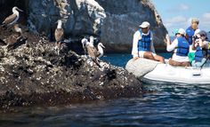 several people on a small boat in the water with seagulls around them,