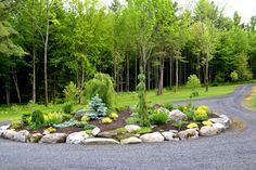 a gravel road surrounded by trees and rocks in the middle of a park with lots of greenery