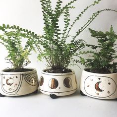 three planters with plants in them sitting on a table