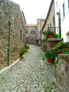 a cobblestone street with potted plants and flowers on either side, surrounded by stone buildings