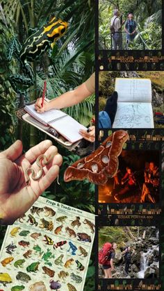 a collage of pictures with people in the woods and insects on them, including an insect