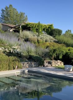 an outdoor swimming pool surrounded by greenery and shrubs on a hillside with a house in the background