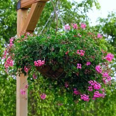 a hanging basket filled with pink flowers on top of a wooden structure