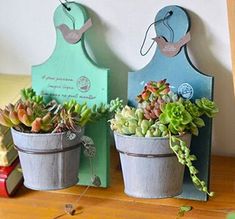 three potted plants sitting on top of a wooden table