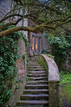 an old stone staircase leading up to a window in the side of a building with ivy growing on it