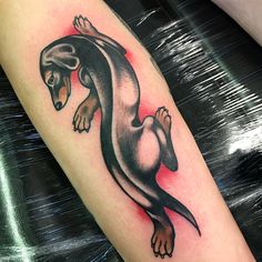 an animal tattoo on the leg of a person's arm, showing it's tail