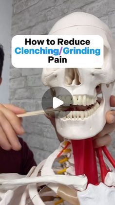 Jaw Clenching Remedy, Jaw Exercises Tmj, Couple Exercises, Tmj Exercises, Tmj Headache, Wisdom Teeth Pain, Teeth Clenching