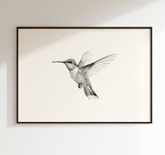 a black and white photo of a hummingbird flying in the air with its wings spread out